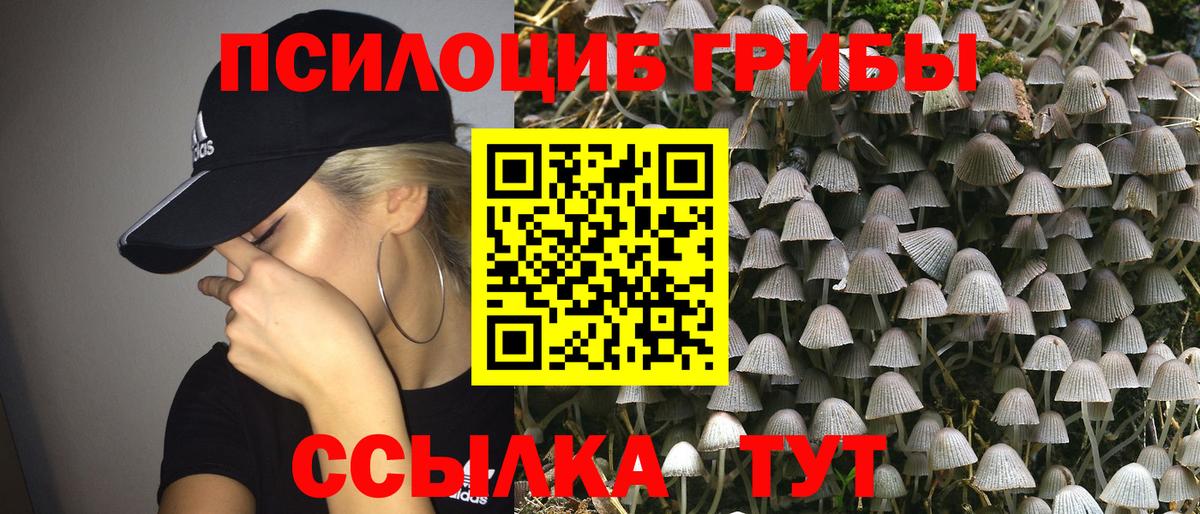 Абакан  Псилоцибиновые грибы Cubensis  Галлюциногенные грибы Psilocybe  Вход с VPN 