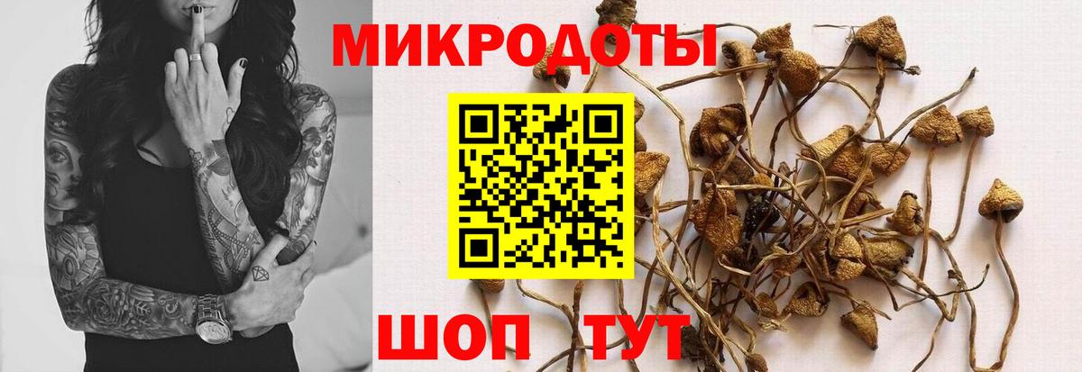 Галлюциногенные грибы мицелий Абакан